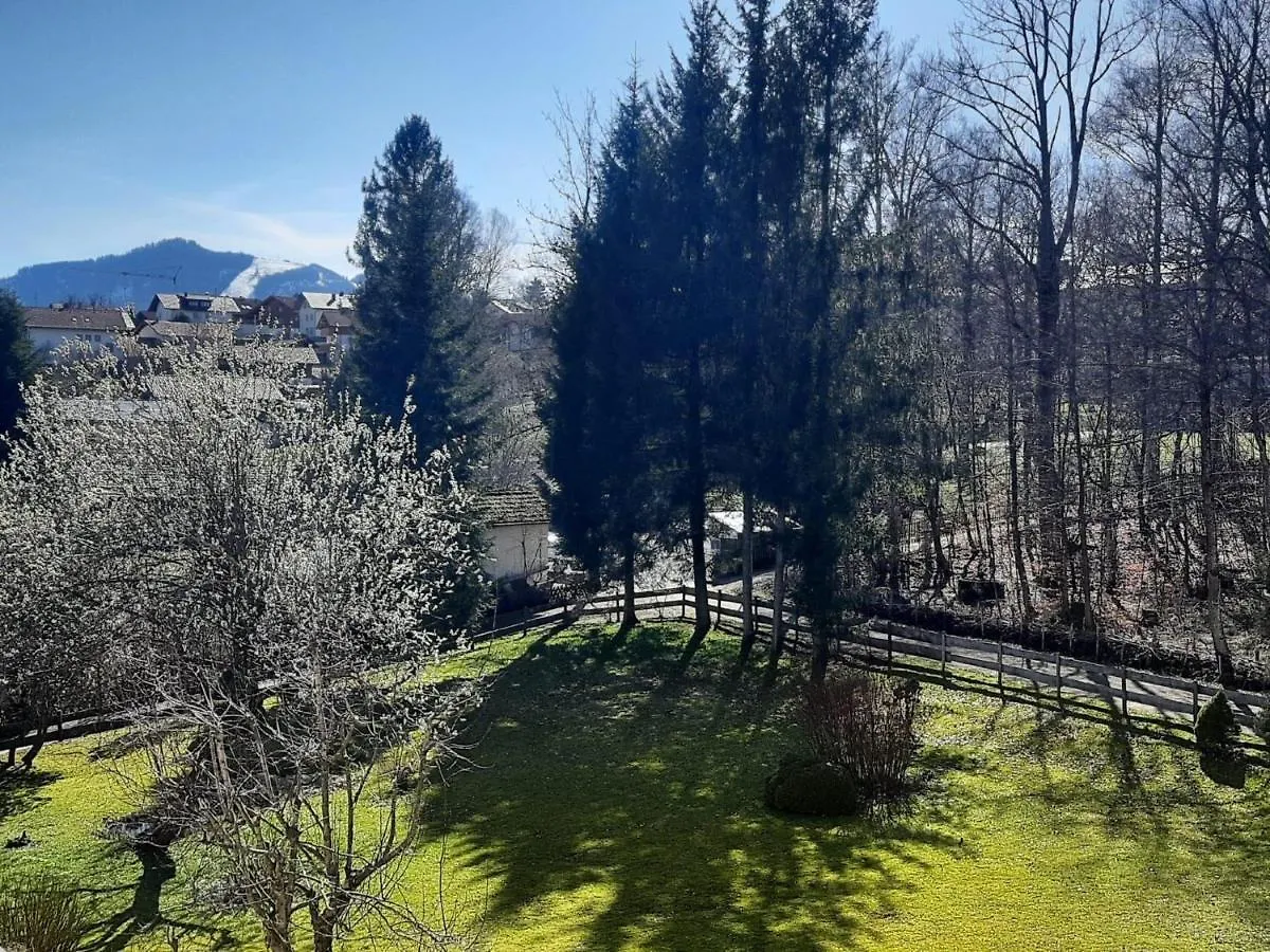 Apartment Ferienwohnung Schoene Auszeit Oy-Mittelberg