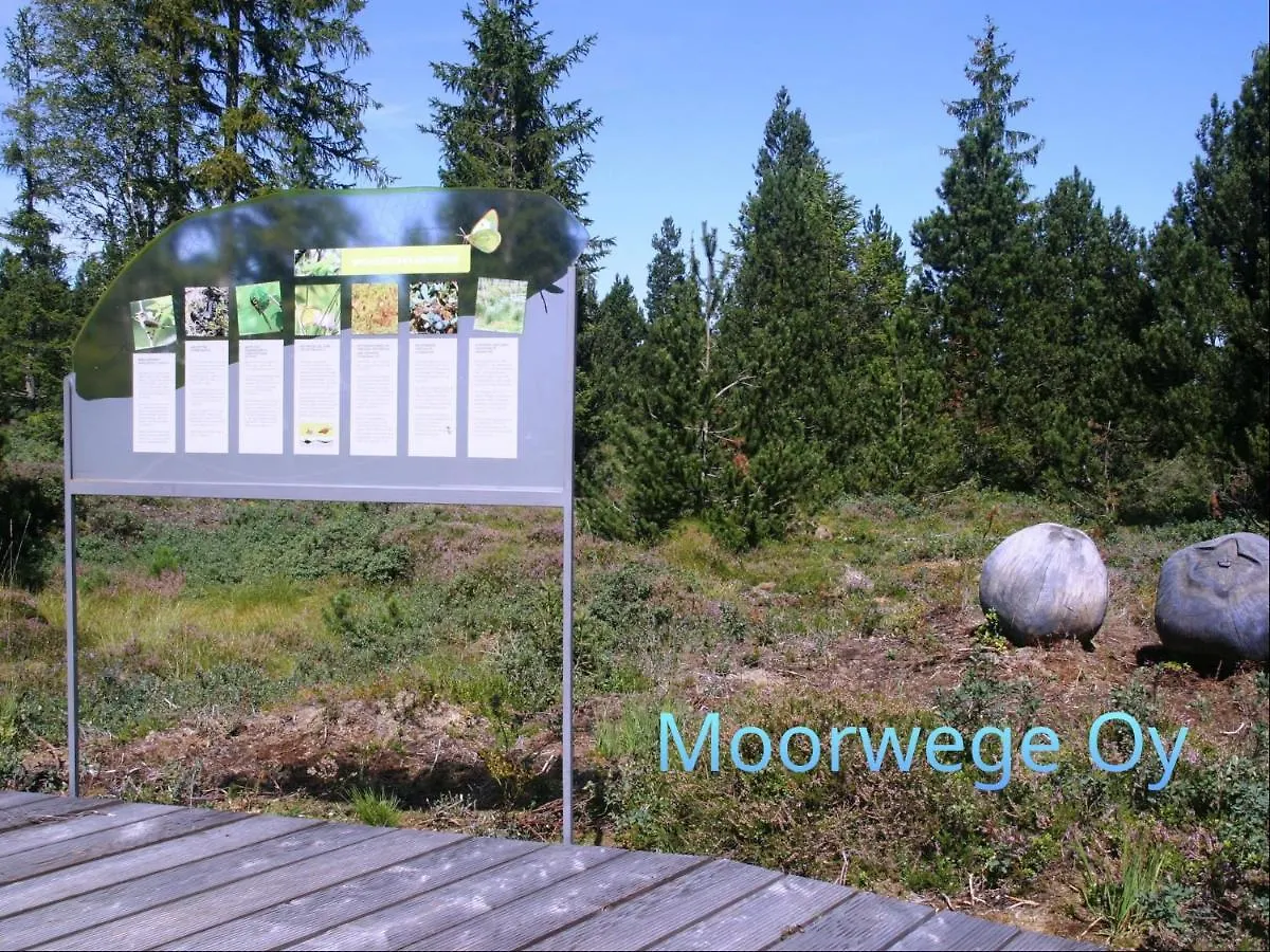 Apartment Ferienwohnung Schoene Auszeit Oy-Mittelberg